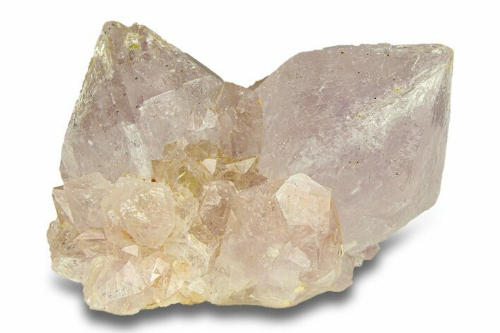 Sparkling Cactus Amethyst Crystal Cluster - South Africa #290229